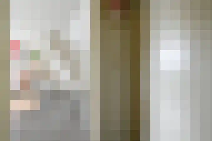 Halvinkhuizerweg 85 Putten thumbnail 41