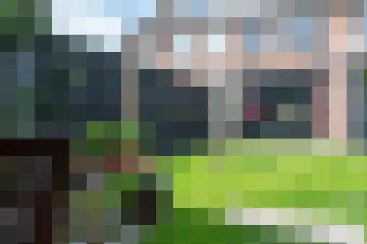 Halvinkhuizerweg 85 Putten thumbnail 47