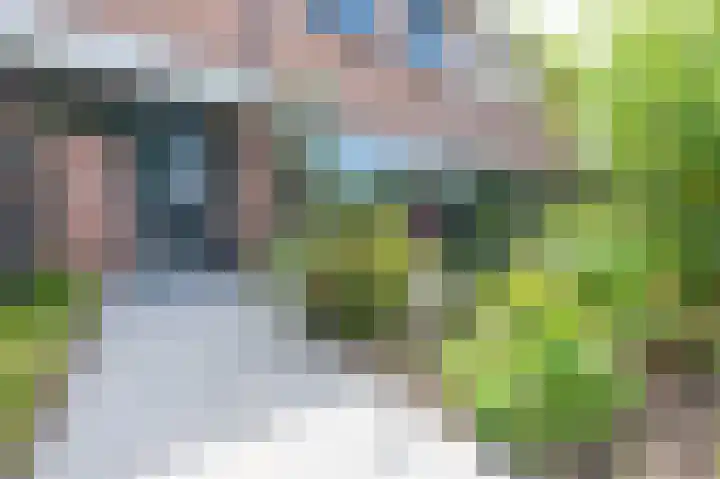 Halvinkhuizerweg 85 Putten thumbnail 5