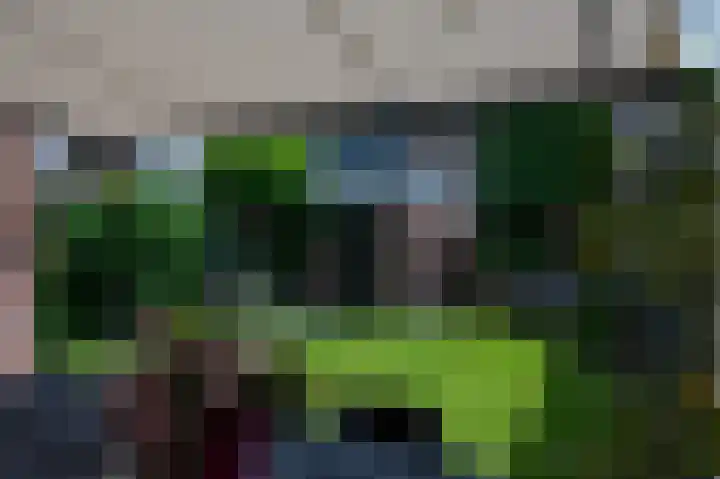 Halvinkhuizerweg 85 Putten thumbnail 51