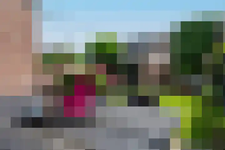 Halvinkhuizerweg 85 Putten thumbnail 52