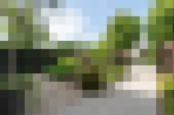 Halvinkhuizerweg 85 Putten thumbnail 6
