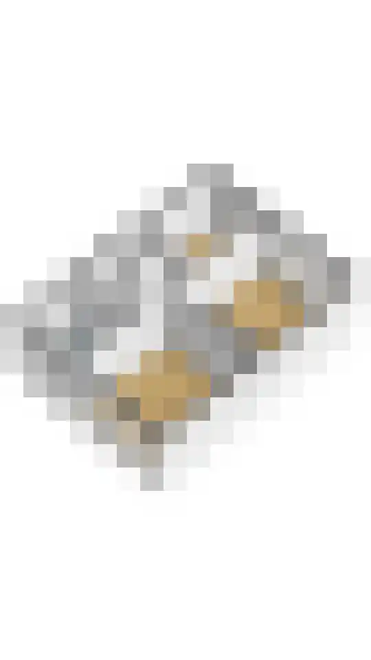 Halvinkhuizerweg 85 Putten thumbnail 64