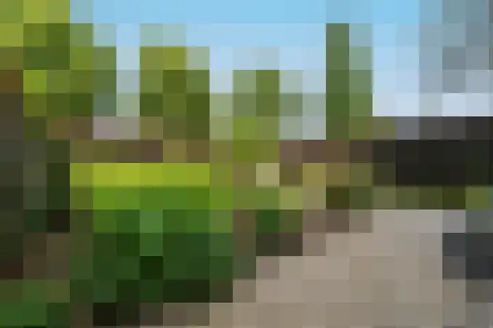 Halvinkhuizerweg 85 Putten thumbnail 7