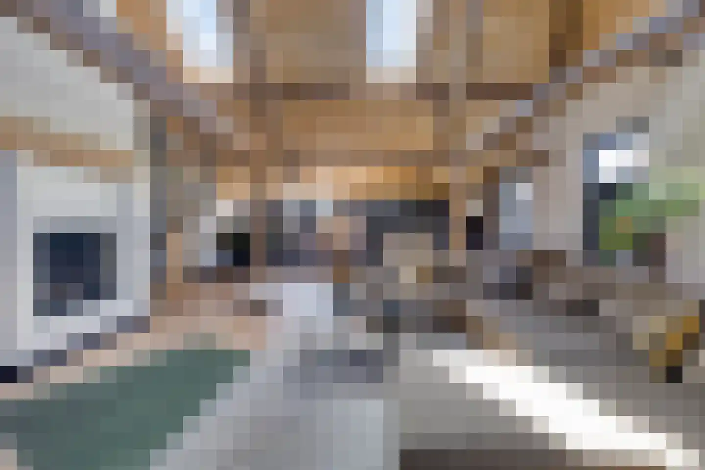 Ham 12 Veghel thumbnail 11