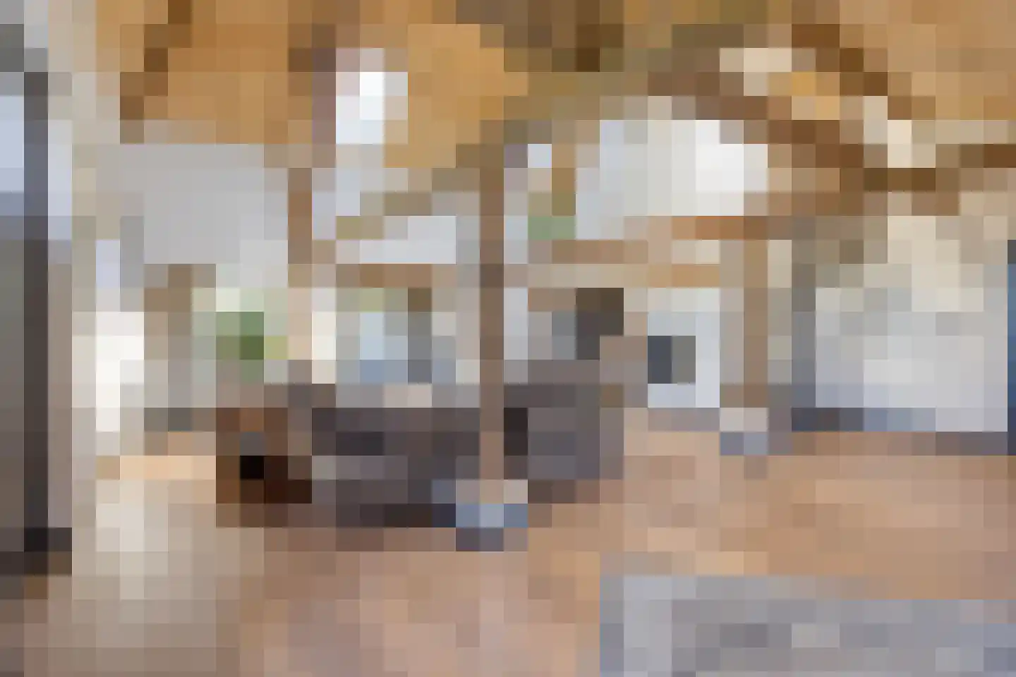 Ham 12 Veghel thumbnail 12