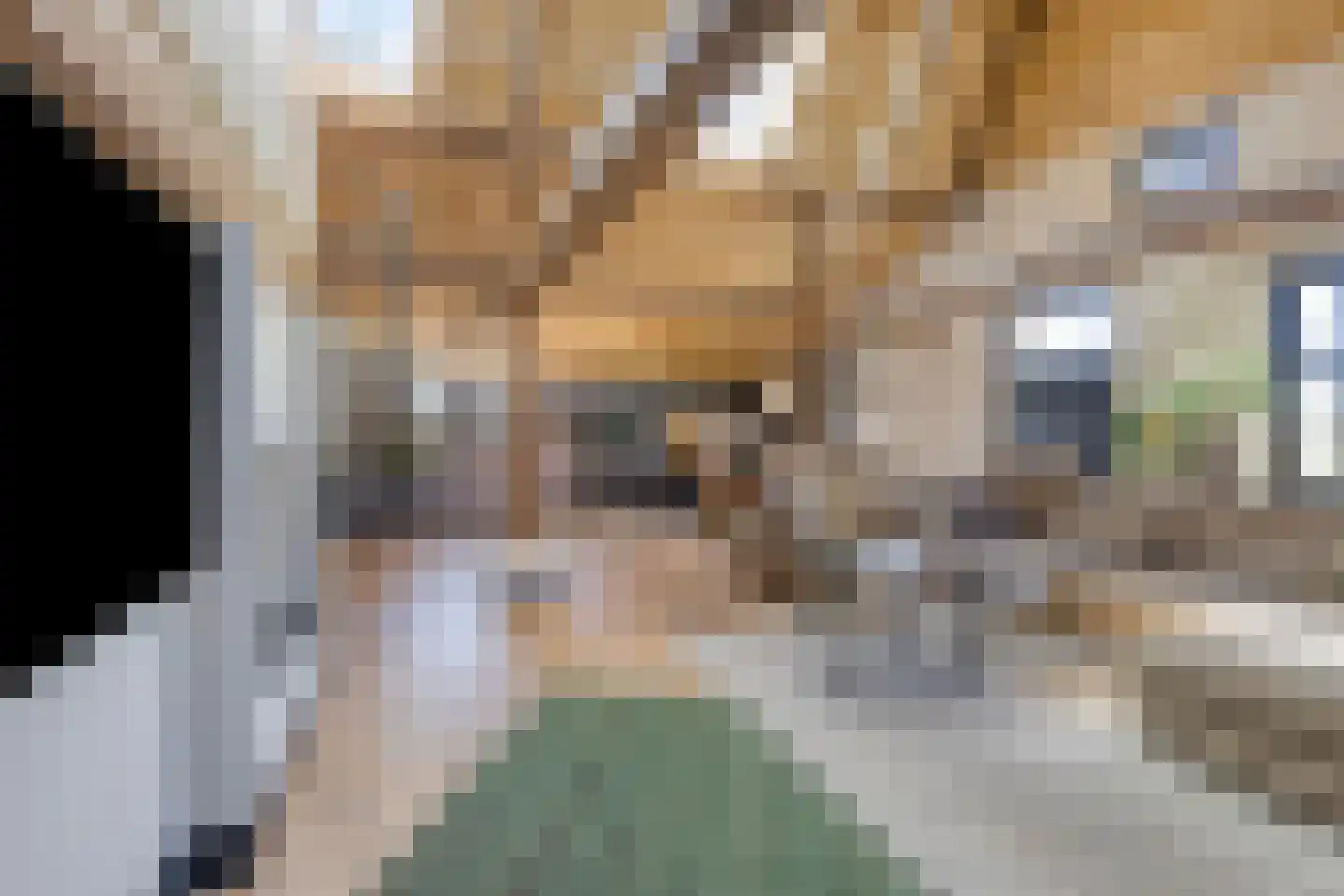Ham 12 Veghel thumbnail 13