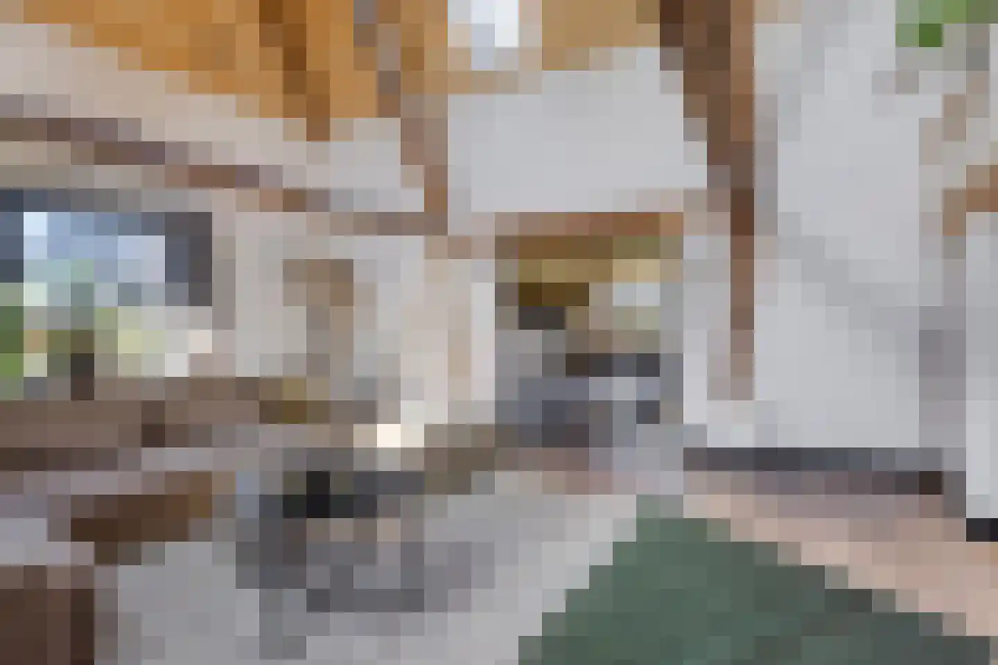 Ham 12 Veghel thumbnail 14
