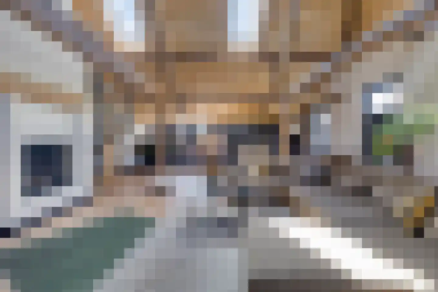 Ham 12 Veghel thumbnail 15