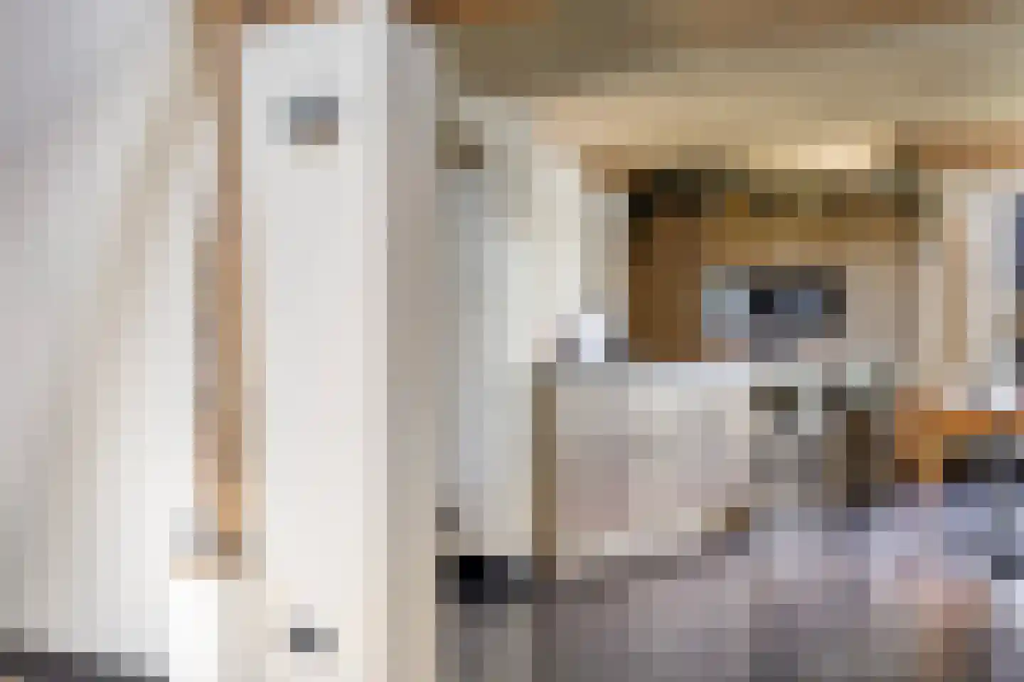 Ham 12 Veghel thumbnail 17
