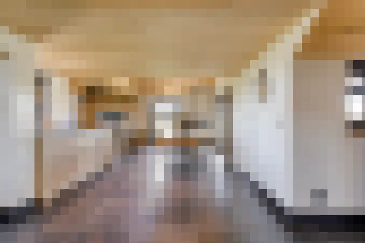 Ham 12 Veghel thumbnail 19
