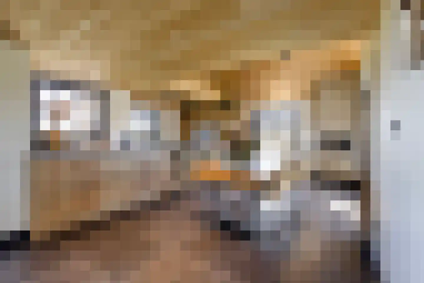 Ham 12 Veghel thumbnail 20