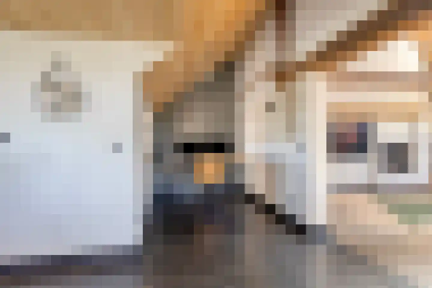 Ham 12 Veghel thumbnail 21