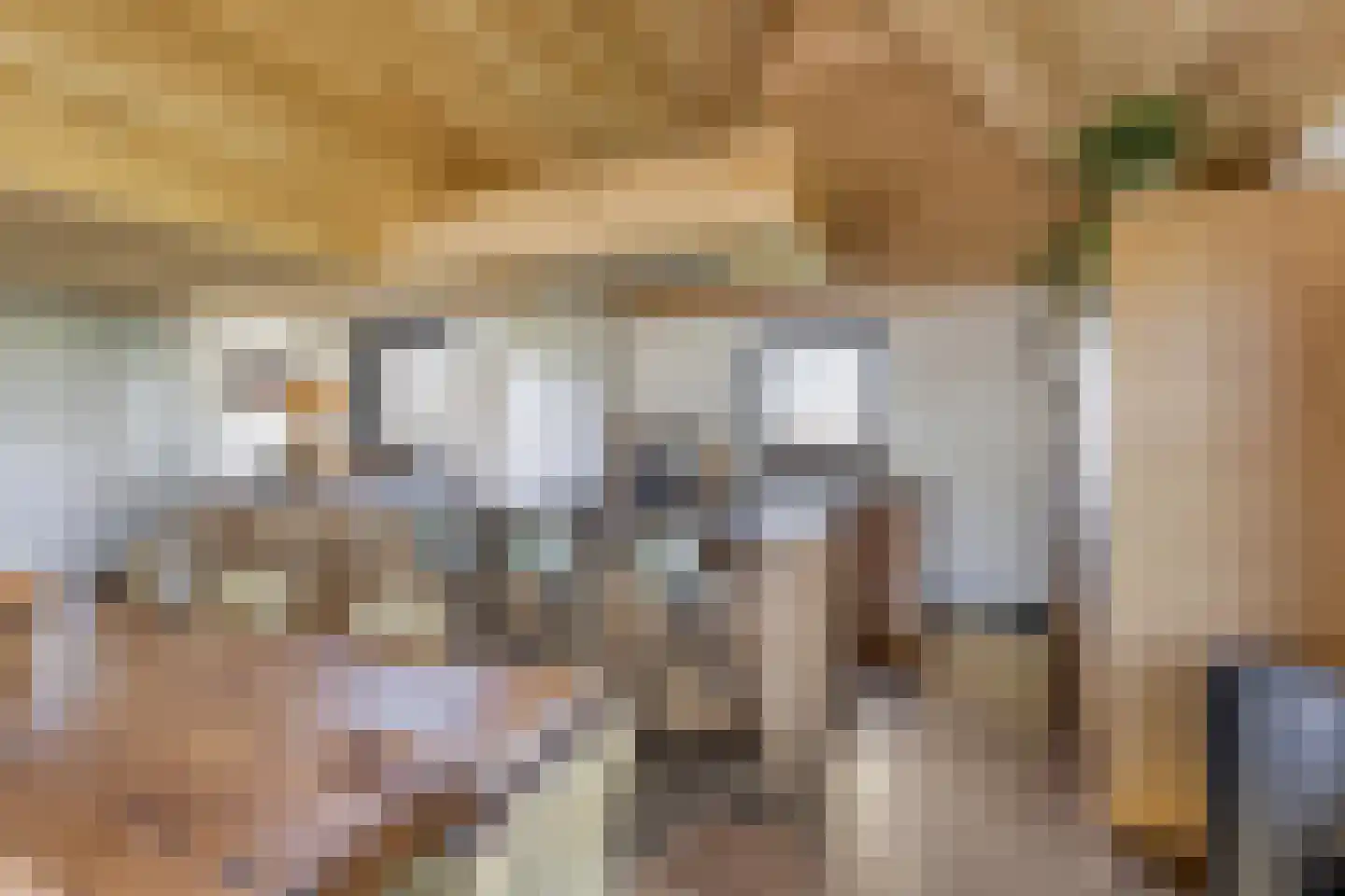 Ham 12 Veghel thumbnail 21