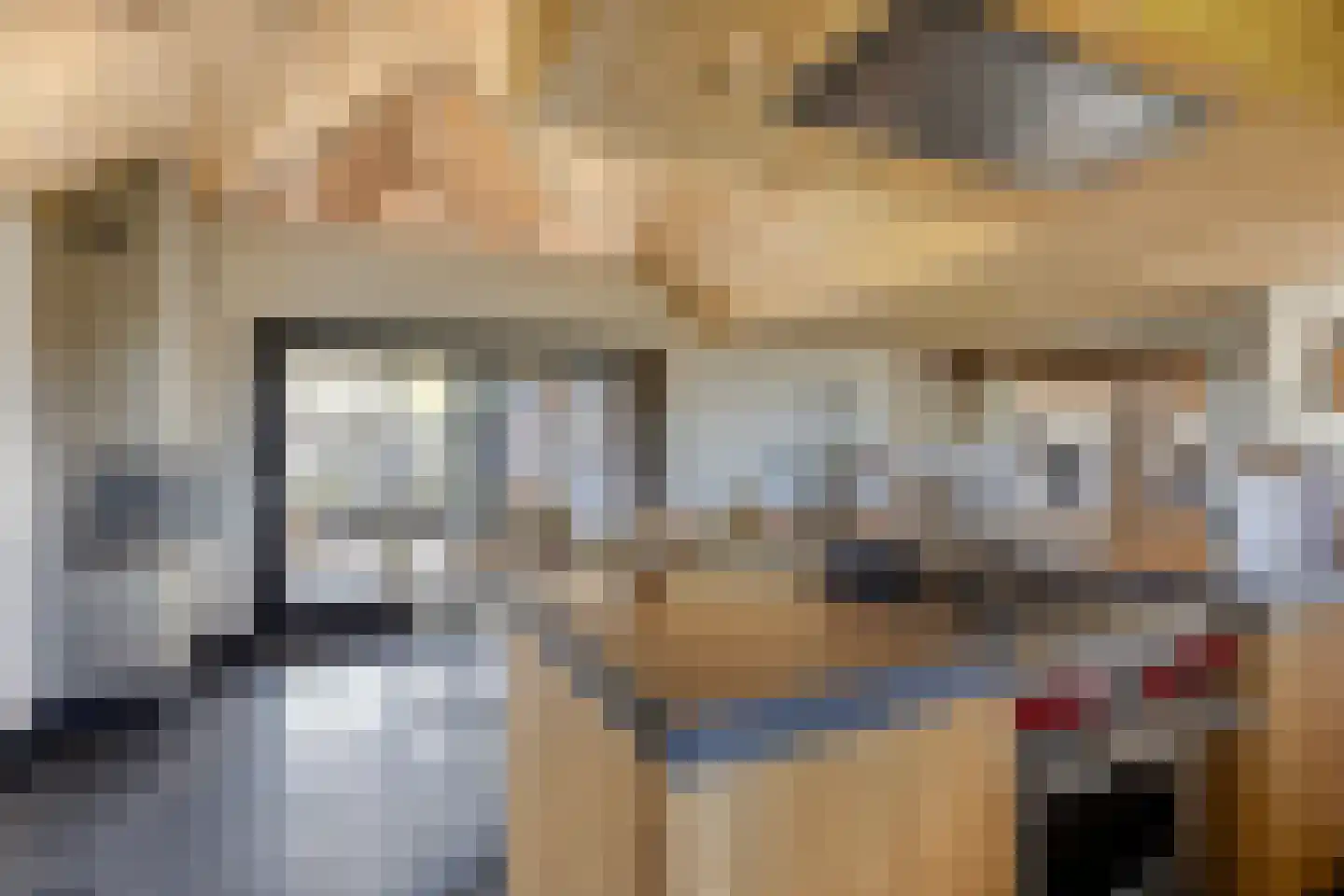 Ham 12 Veghel thumbnail 24