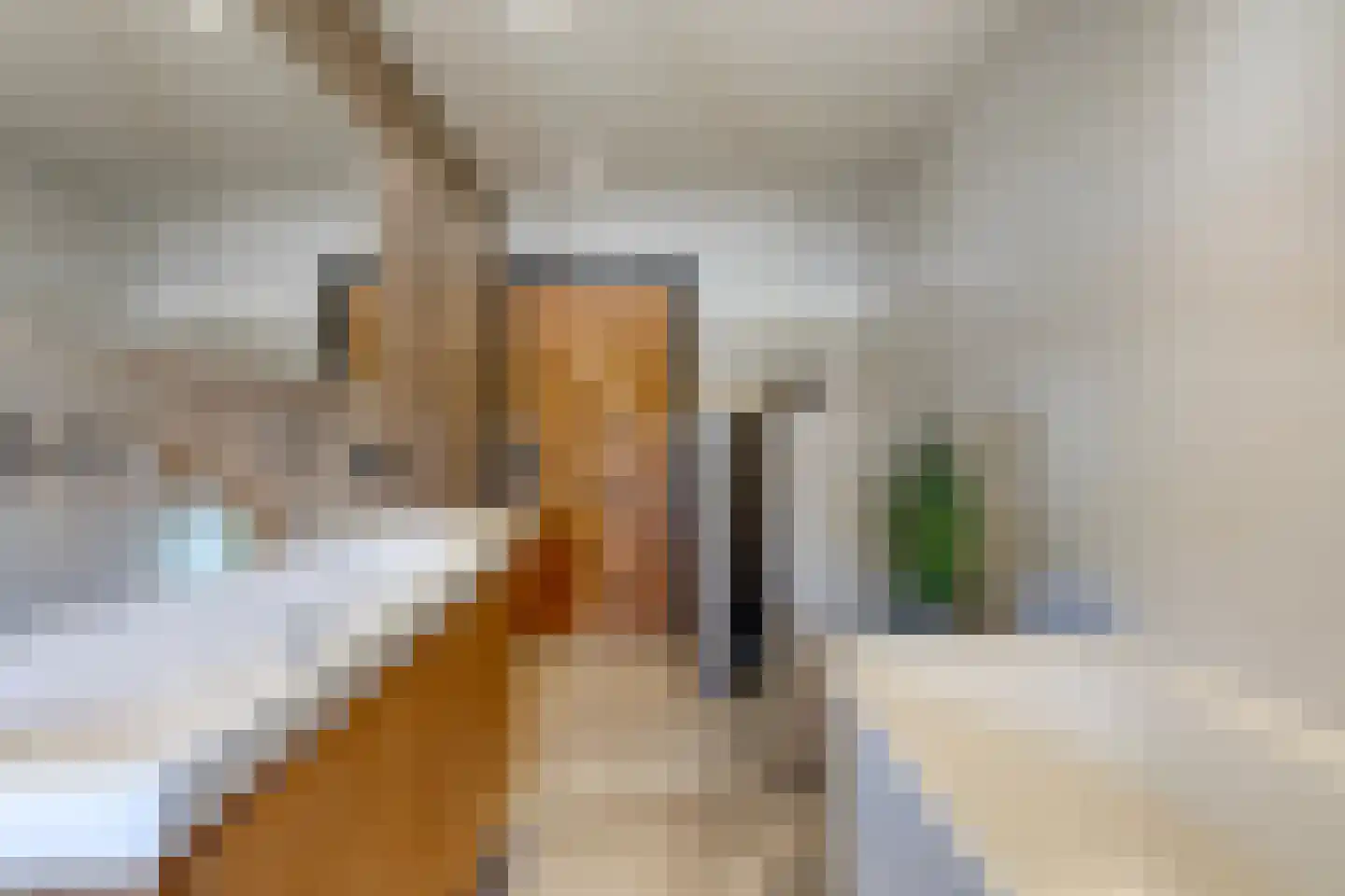 Ham 12 Veghel thumbnail 35