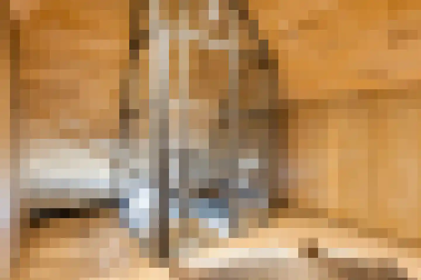 Ham 12 Veghel thumbnail 43