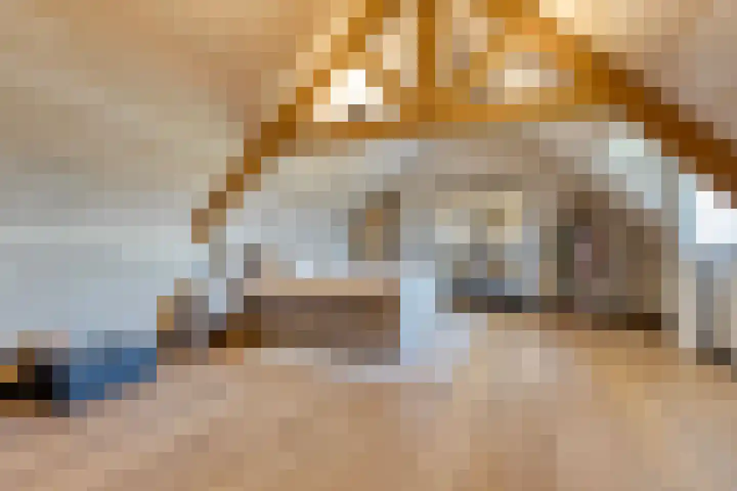 Ham 12 Veghel thumbnail 45