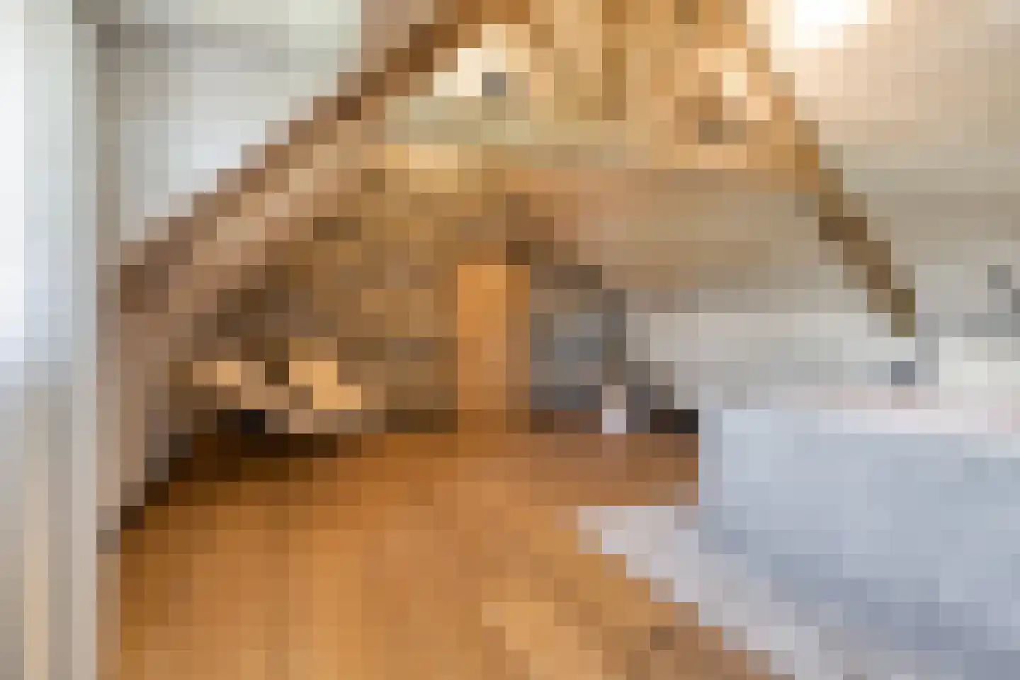 Ham 12 Veghel thumbnail 46