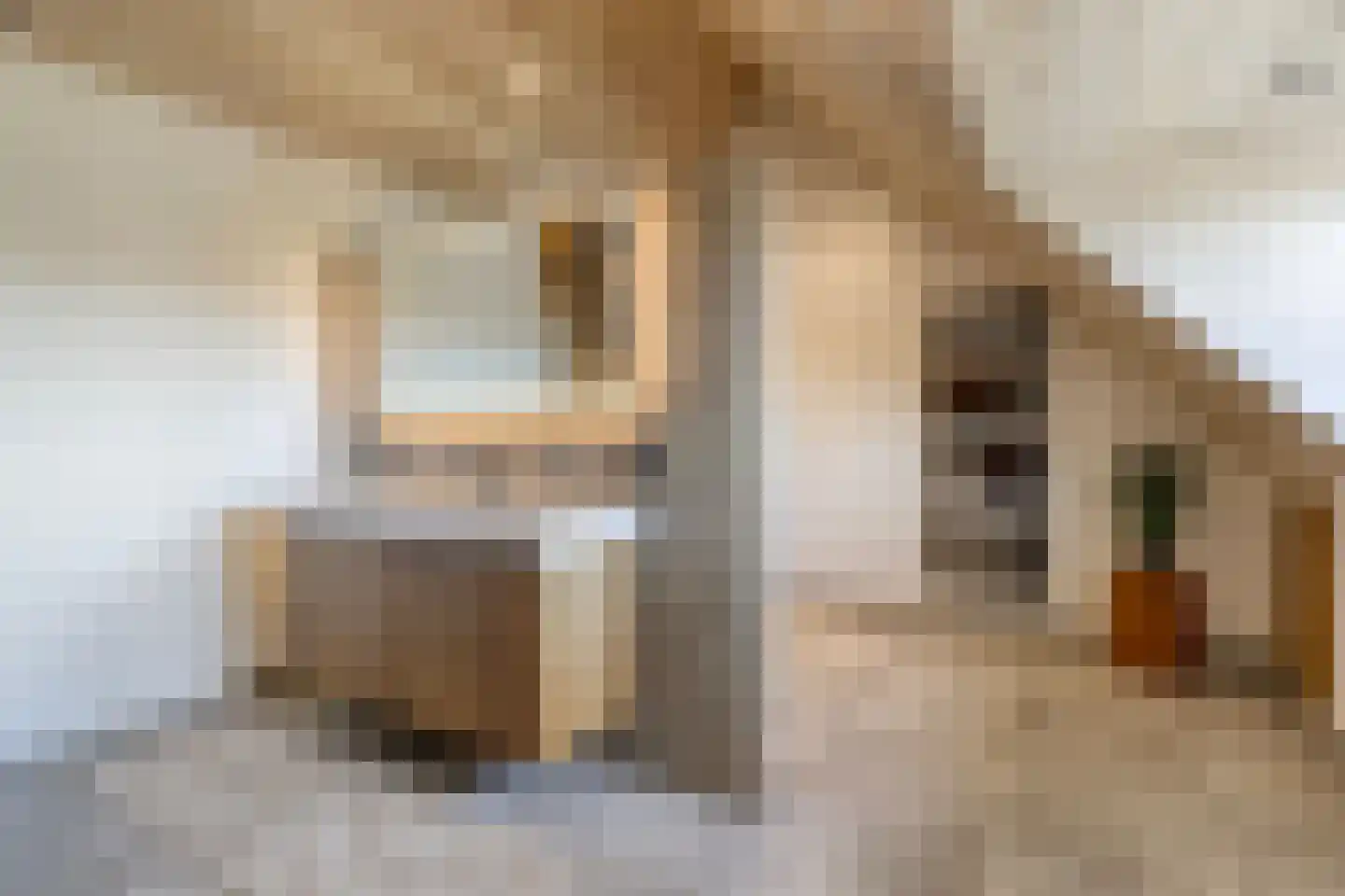 Ham 12 Veghel thumbnail 48