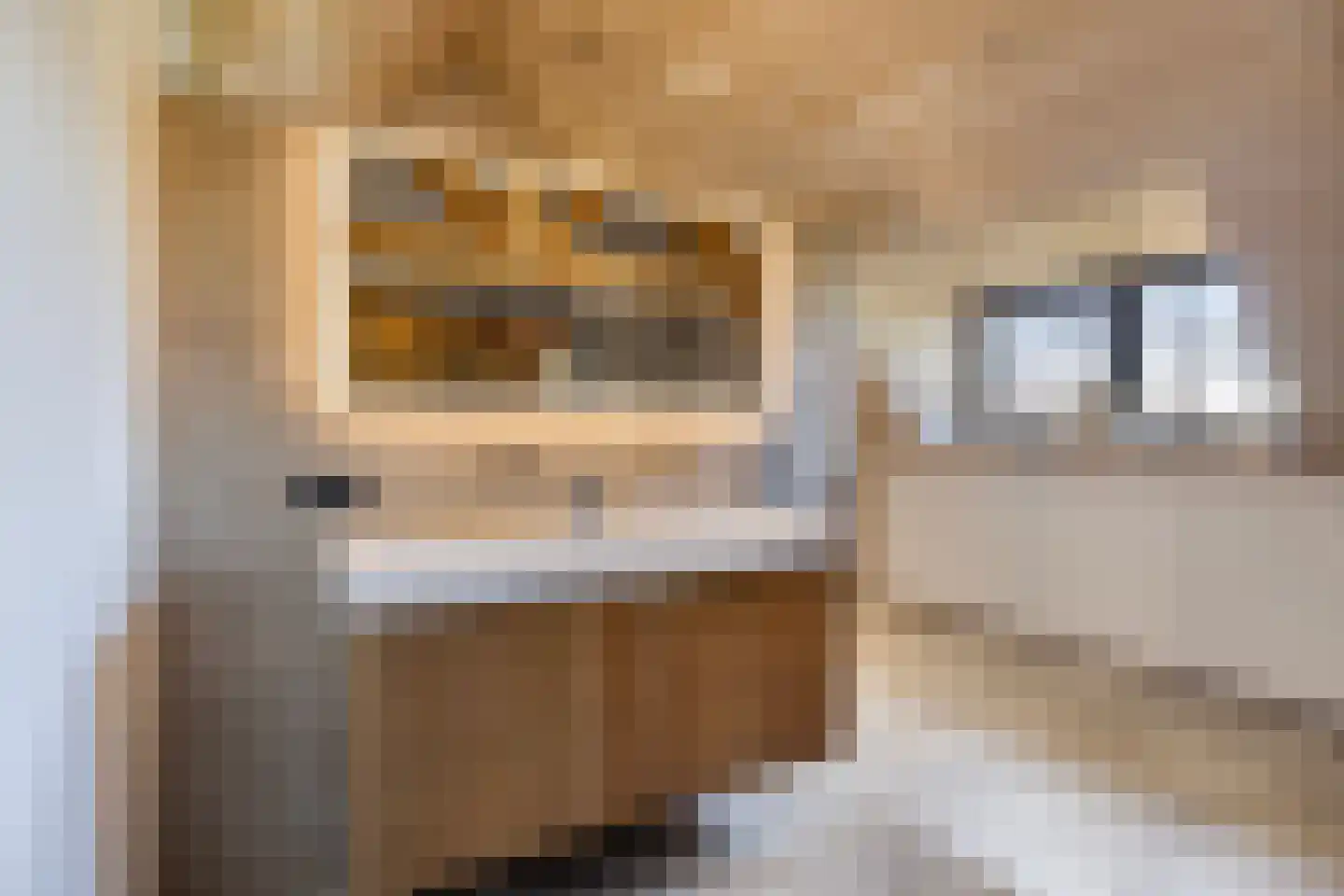 Ham 12 Veghel thumbnail 49
