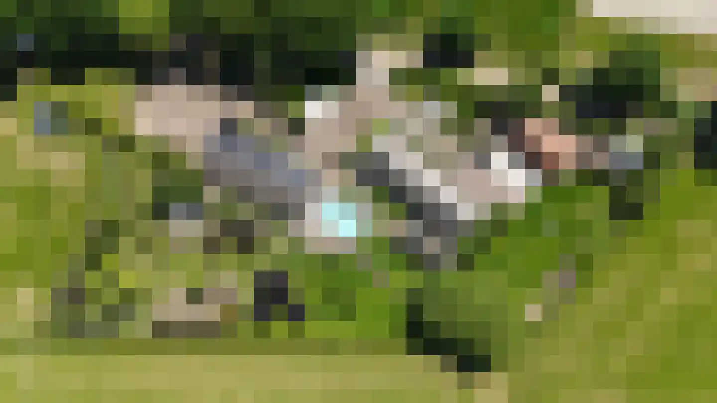 Ham 12 Veghel thumbnail 5