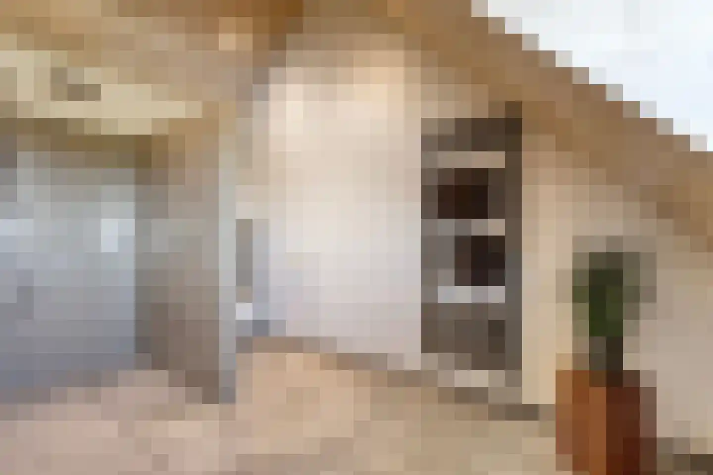 Ham 12 Veghel thumbnail 50