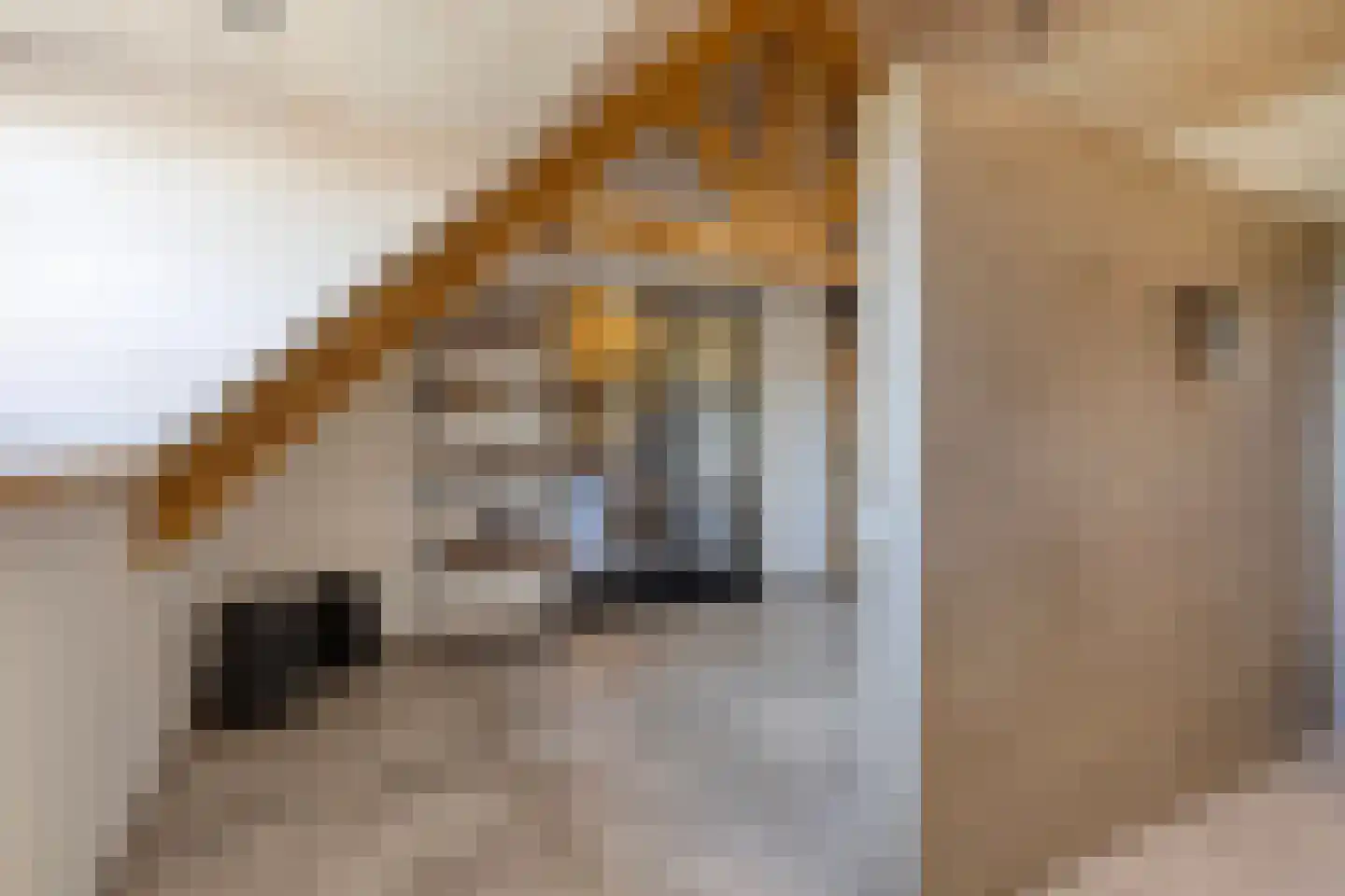 Ham 12 Veghel thumbnail 52