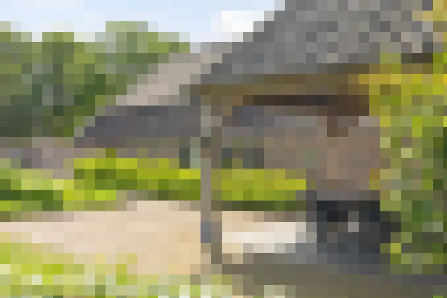 Ham 12 Veghel thumbnail 58