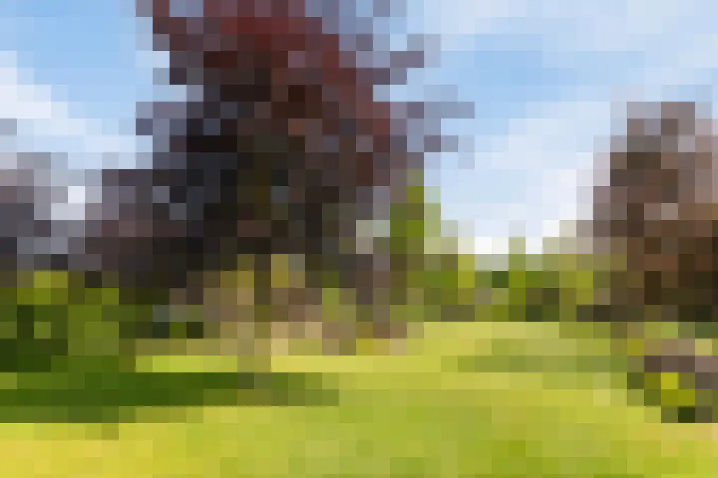 Ham 12 Veghel thumbnail 64