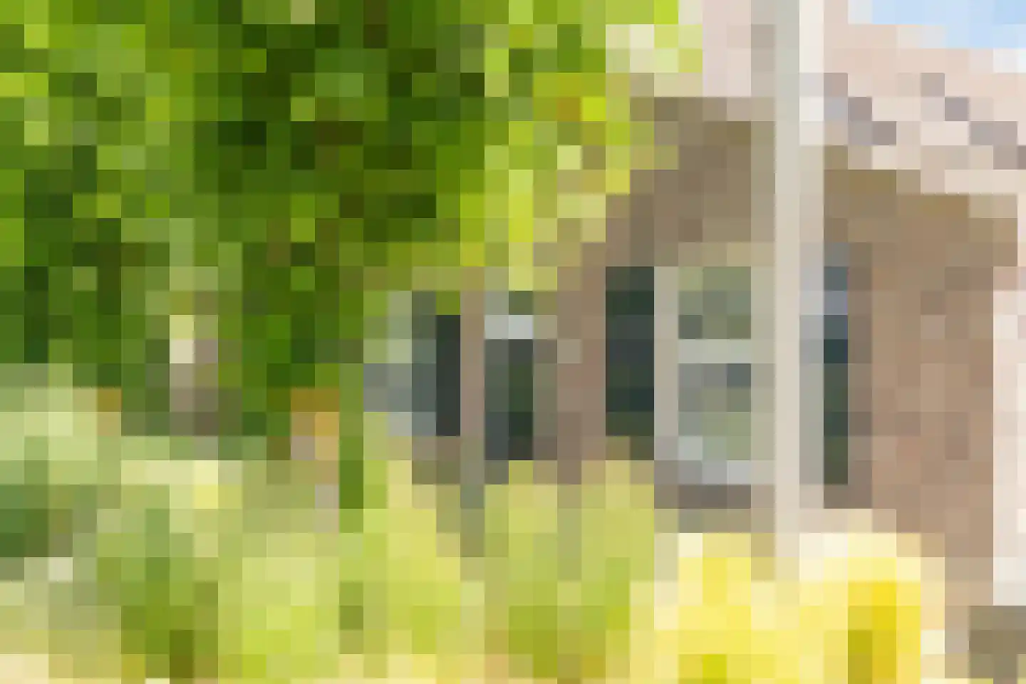 Ham 12 Veghel thumbnail 68