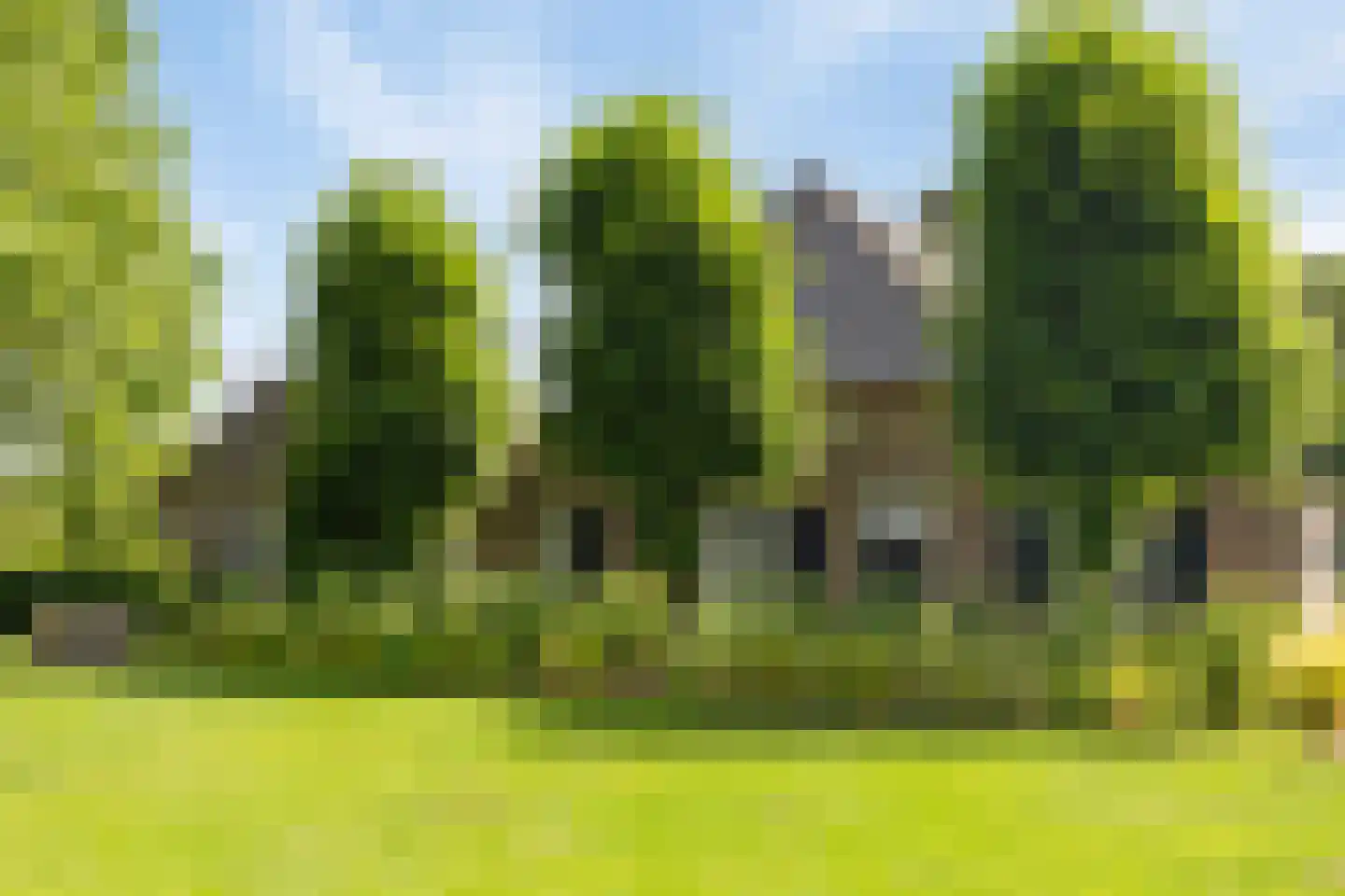 Ham 12 Veghel thumbnail 69