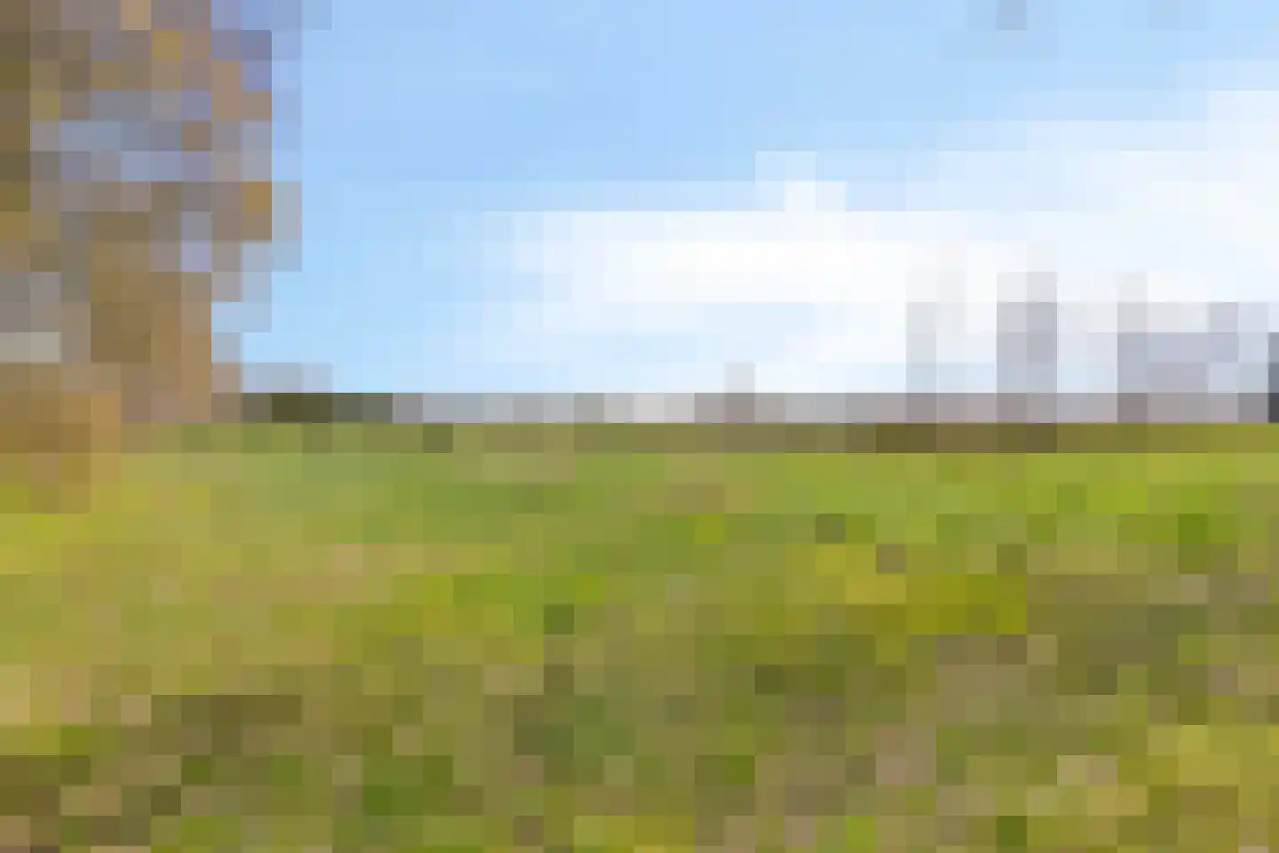 Ham 12 Veghel thumbnail 72