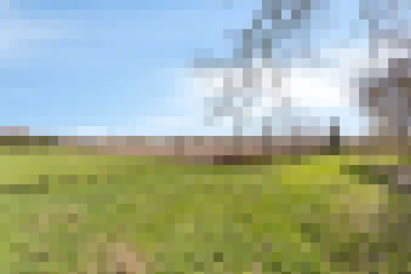 Ham 12 Veghel thumbnail 73