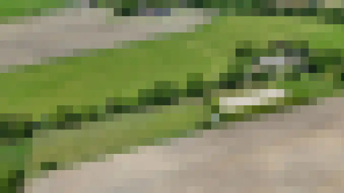 Ham 12 Veghel thumbnail 75