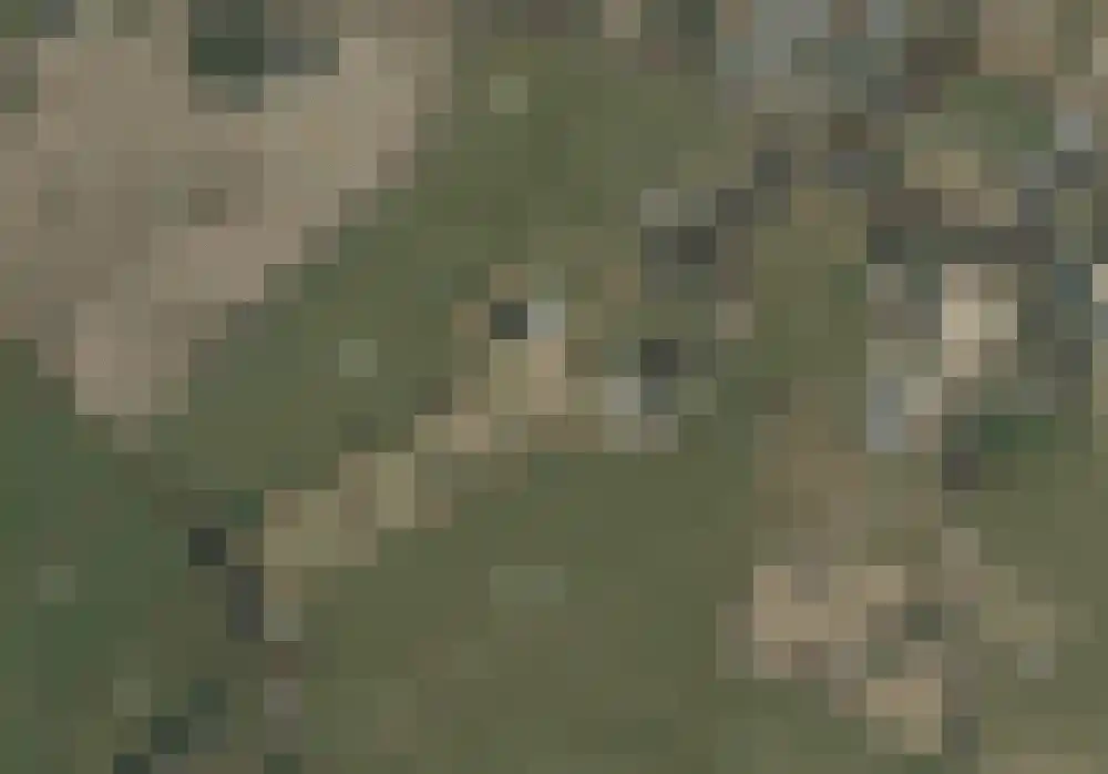 Ham 12 Veghel thumbnail 77