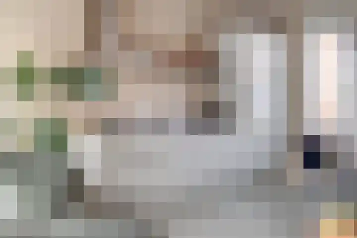 Hamakerstraat 8 Eindhoven thumbnail 12
