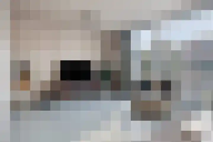 Hamakerstraat 8 Eindhoven thumbnail 8