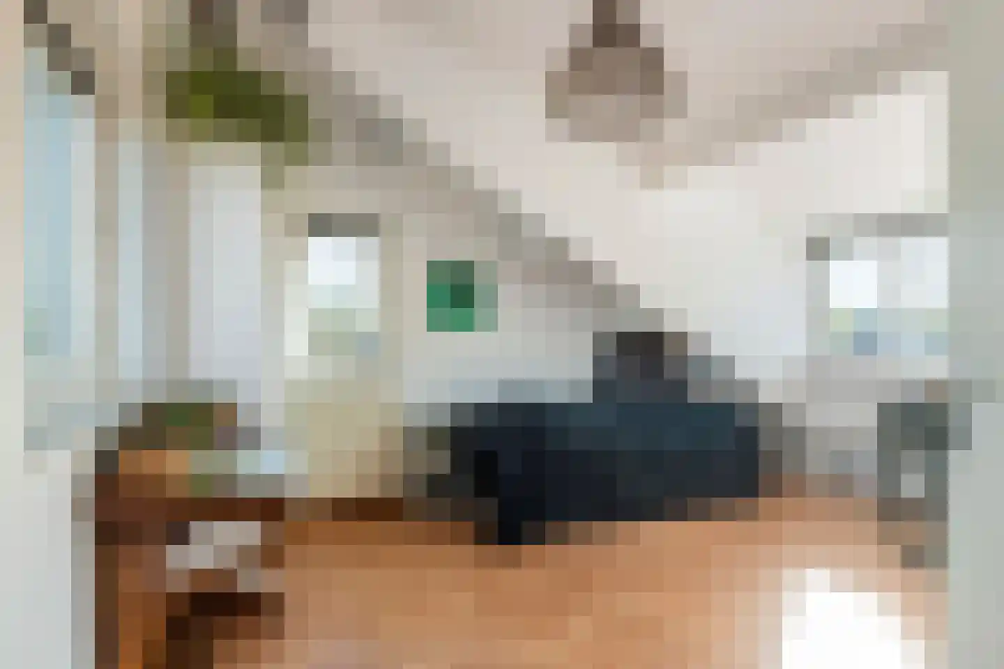 Hamaritilaan 1 Ophemert thumbnail 27