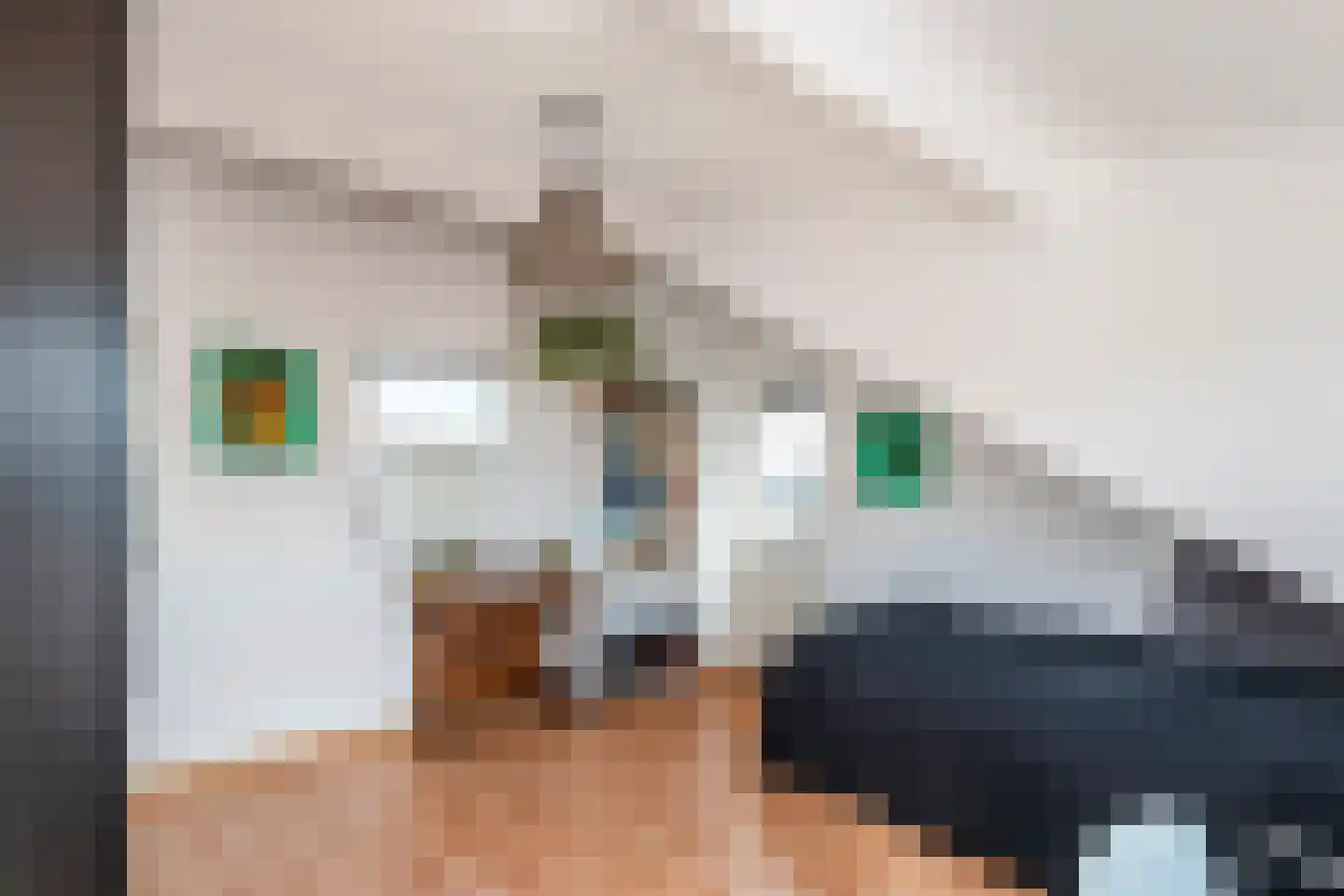 Hamaritilaan 1 Ophemert thumbnail 29
