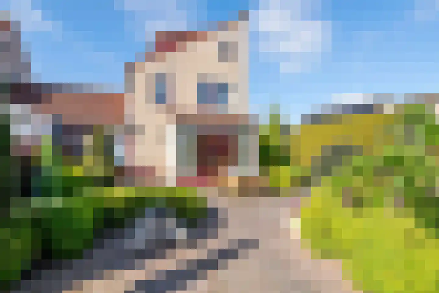 Hamaritilaan 1 Ophemert thumbnail 32
