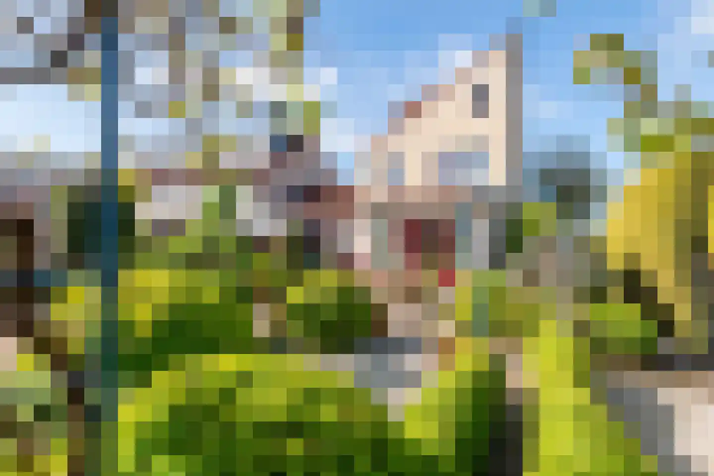 Hamaritilaan 1 Ophemert thumbnail 36