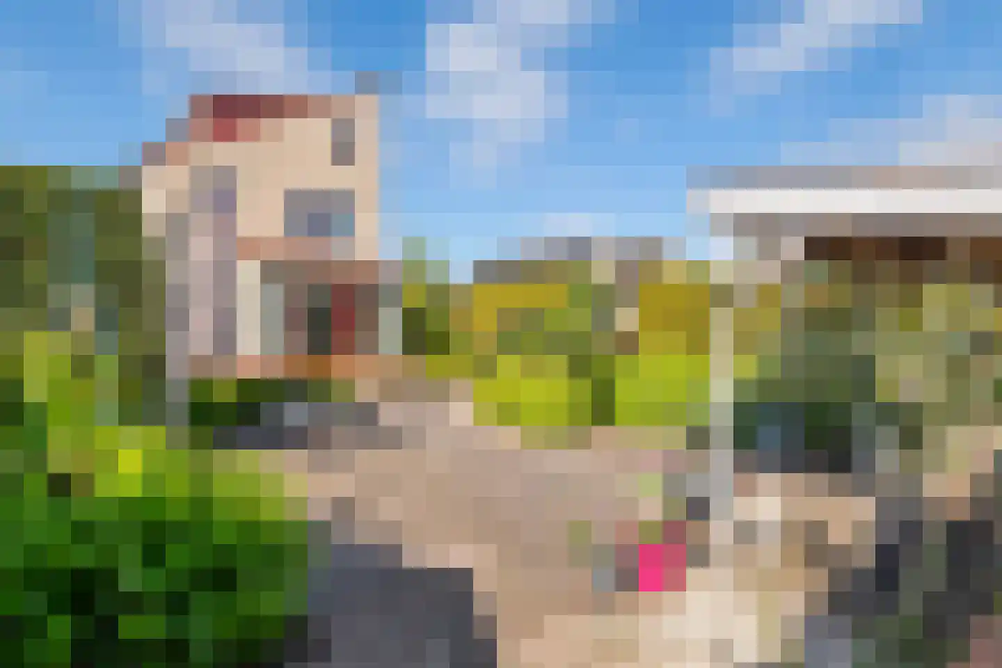 Hamaritilaan 1 Ophemert thumbnail 37