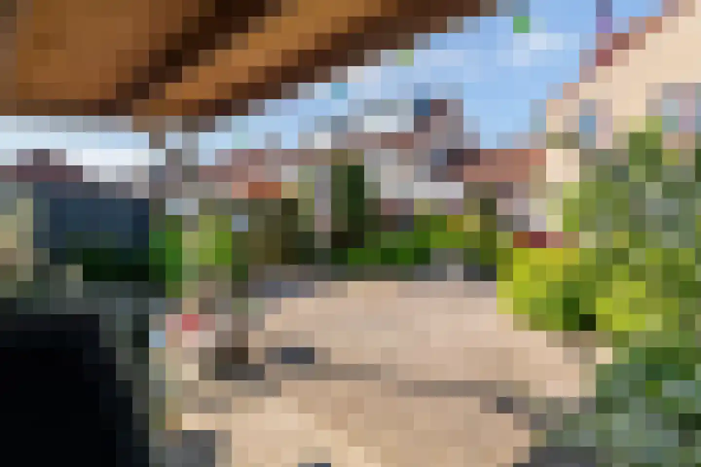Hamaritilaan 1 Ophemert thumbnail 38