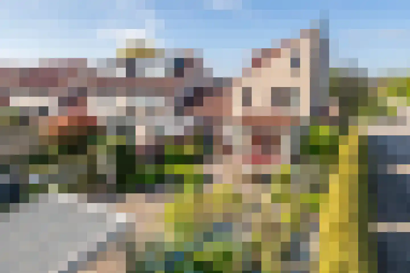 Hamaritilaan 1 Ophemert thumbnail 39