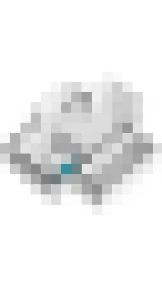 Hamaritilaan 1 Ophemert thumbnail 41