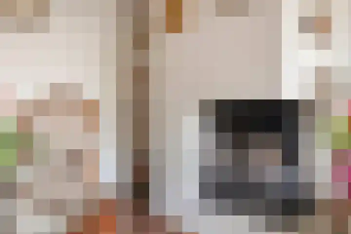 Hamarpad 6 Capelle aan den IJssel thumbnail 11