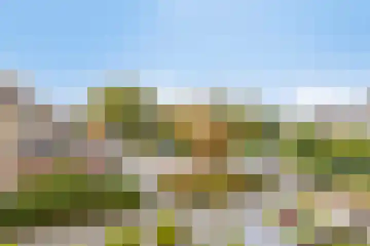 Hamarpad 6 Capelle aan den IJssel thumbnail 29