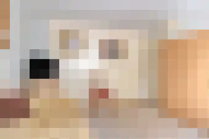 Hamarpad 6 Capelle aan den IJssel thumbnail 31