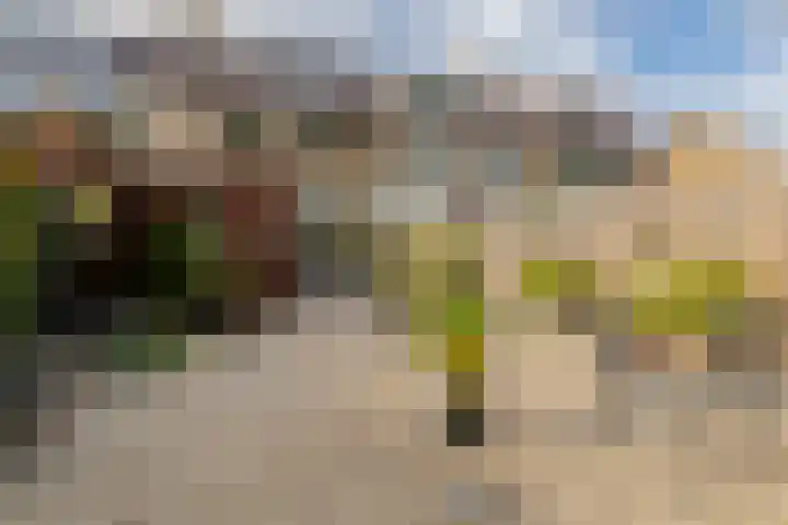 Hamarpad 6 Capelle aan den IJssel thumbnail 4